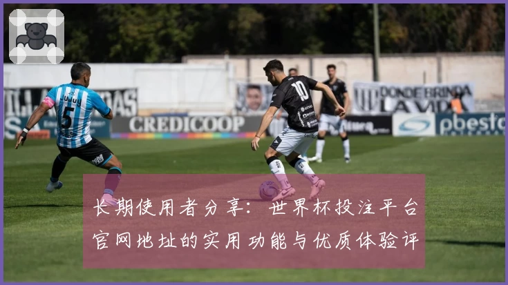 长期使用者分享：世界杯投注平台官网地址的实用功能与优质体验评测