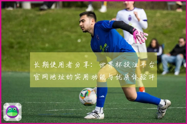 长期使用者分享：世界杯投注平台官网地址的实用功能与优质体验评测