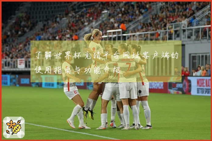 了解世界杯竞猜平台网址客户端的使用指南与功能介绍