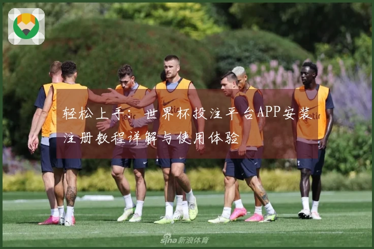 轻松上手：世界杯投注平台APP安装注册教程详解与使用体验