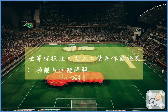 世界杯投注平台入口使用体验评测：功能与性能详解
